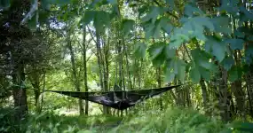 un hamac suspendu dans la forêt